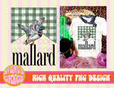 Mallard Duck