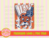 Auburn Tigers