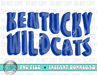 KENTUCKY WILDCATS