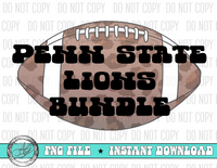 PENN STATE LIONS BUNDLE