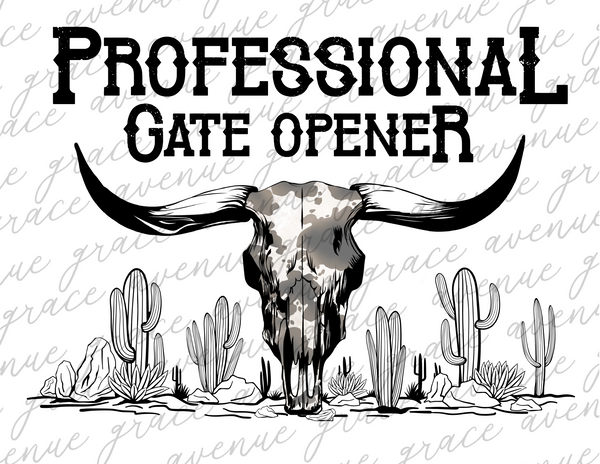 Professional Gate Opener